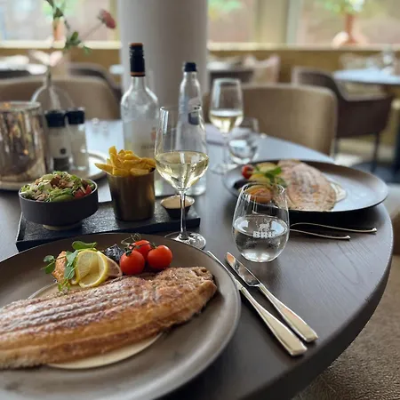 Der Valk Palace فندق نوردفيك